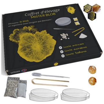 Coffret d'élevage blob