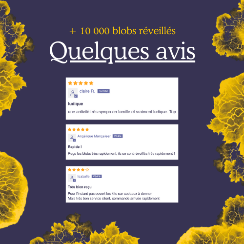 Lot De 3 Sclérotes Blob Blanc Didymium – Forme De Vie Fascinante à Cultiver Chez Soi