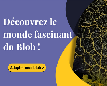 MISTER BLOB - Kit D'Élevage Complet Pour Blob Vivant - Expérience Scientifique Fascinante Pour Enfants Et Ados - 2 Sclérotes + Accessoires + Notice Détaillée