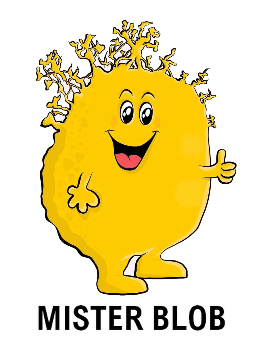 Mister Blob : Un coffret pour élever ton blob à la maison ! – Misterblob