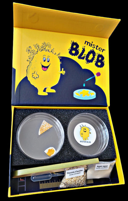 Coffret "La Blob Box"